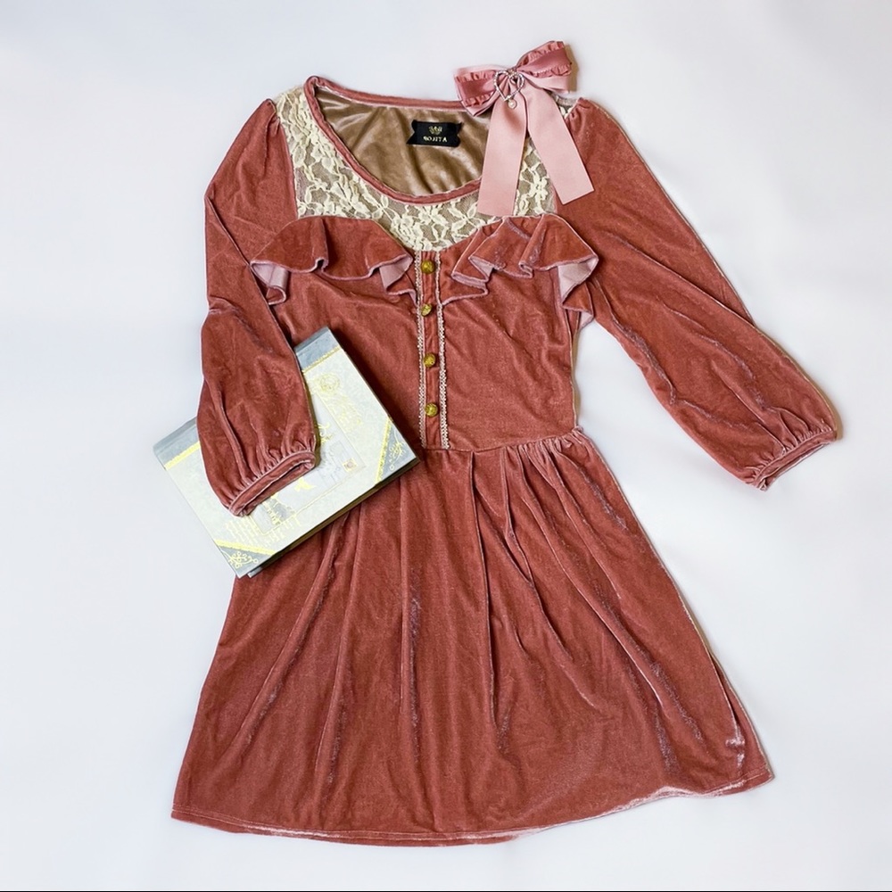 Rojita Pink Velvet Dress - Size S/M